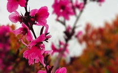 哎咿呀咿呀有点难受爸爸